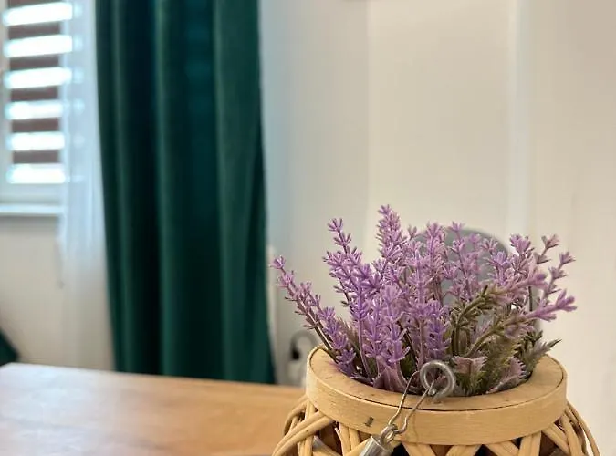 Apartament Zielony Kollataja